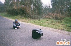 旱柳叶