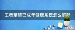 王者荣耀已成年健康系统怎么解除