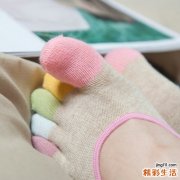 疯牛病的易发部位