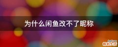 为什么闲鱼改不了昵称