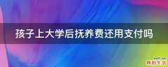 孩子上大学后抚养费还用支付吗