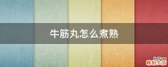 牛筋丸怎么煮熟