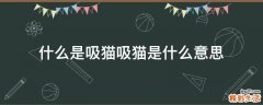 什么是吸猫吸猫是什么意思