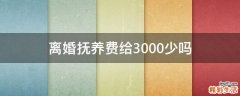 离婚抚养费给3000少吗