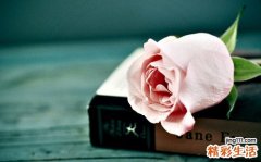 【让婚姻增鲜的调味品】怎样让婚姻增鲜