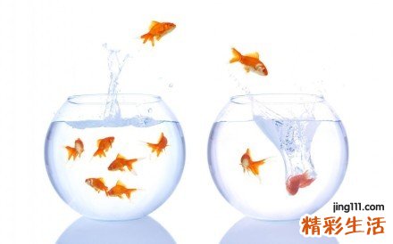 女性怀孕初期为何会失眠