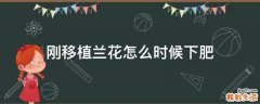 刚移植兰花怎么时候下肥