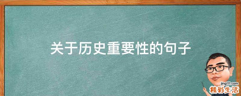 关于历史重要性的句子