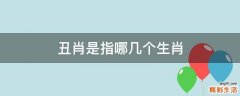 丑肖是指哪几个生肖