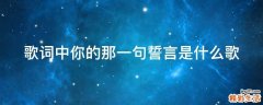 歌词中你的那一句誓言是什么歌
