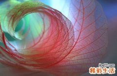 2 八个数字教你如何均衡饮食