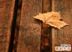 肾功能减退原因