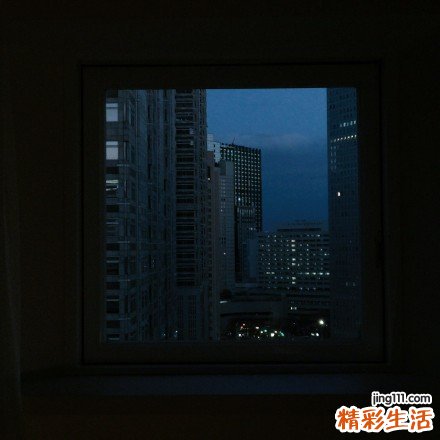 黑布林的营养价值
