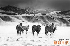 酒精肝的“成长阶段”