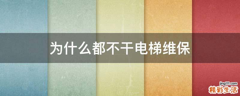 为什么都不干电梯维保