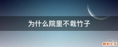 为什么院里不栽竹子