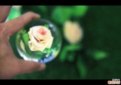 如何安抚候机焦虑？机场减压有高招