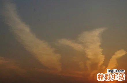 肺炎会引起哮喘吗