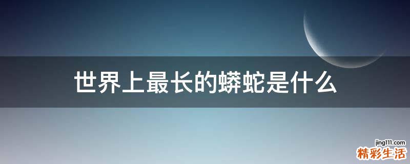 世界上最长的蟒蛇是什么