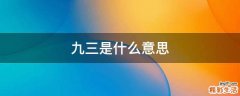 九三是什么意思