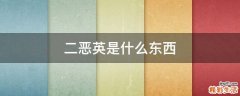 二恶英是什么东西