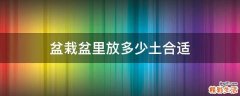 盆栽盆里放多少土合适