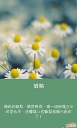 生活中减轻心理压力要掌握的技巧