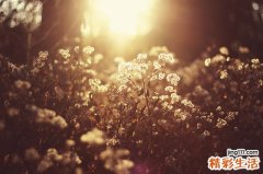 糖尿病专家：6种情况快查听力