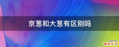 京葱和大葱有区别吗