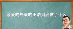 亲爱的热爱的王浩到底做了什么
