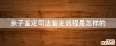 亲子鉴定司法鉴定流程是怎样的