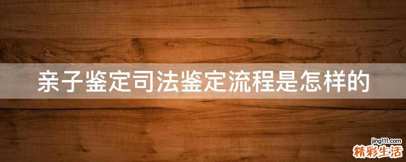 亲子鉴定司法鉴定流程是怎样的