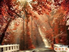 春季补肝比补肾更重要