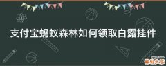 支付宝蚂蚁森林如何领取白露挂件