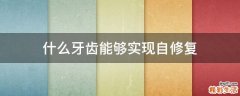 什么牙齿能够实现自修复