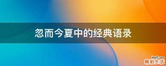 忽而今夏中的经典语录