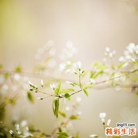 5 营养学中最健康的饮食搭配