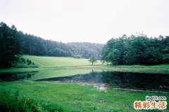 夏季防中暑小妙招