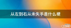 从左到右从未失手是什么梗