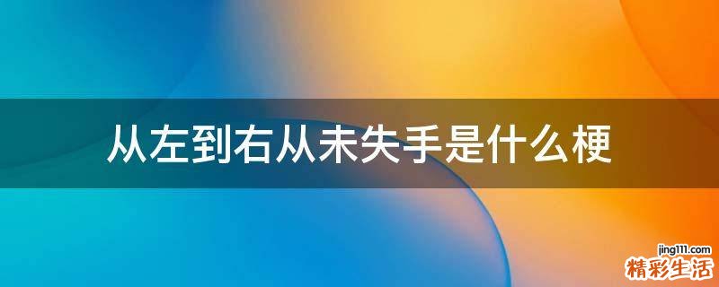 从左到右从未失手是什么梗