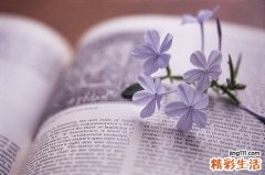 持续性枕后位、枕横位有什么表现以及应做什么检查