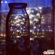 4 河蚌的营养价值