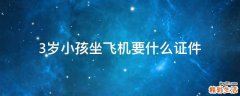 3岁小孩坐飞机要什么证件