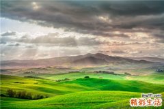 我国淋巴瘤平均发病年龄不足50岁