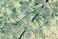 泪液分泌过多是一种病吗？
