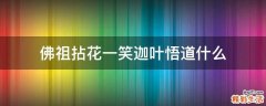 佛祖拈花一笑迦叶悟道什么