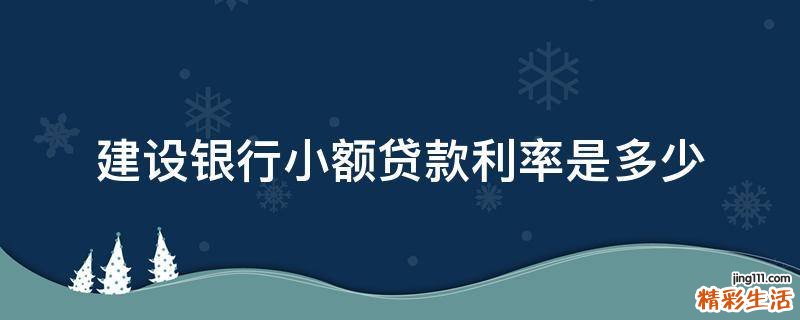 建设银行小额贷款利率是多少