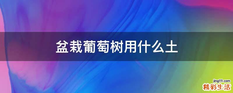 盆栽葡萄树用什么土
