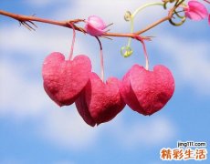 【毕业生求职困局】毕业生求职困局化解
