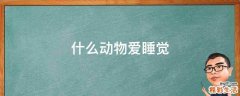 什么动物爱睡觉